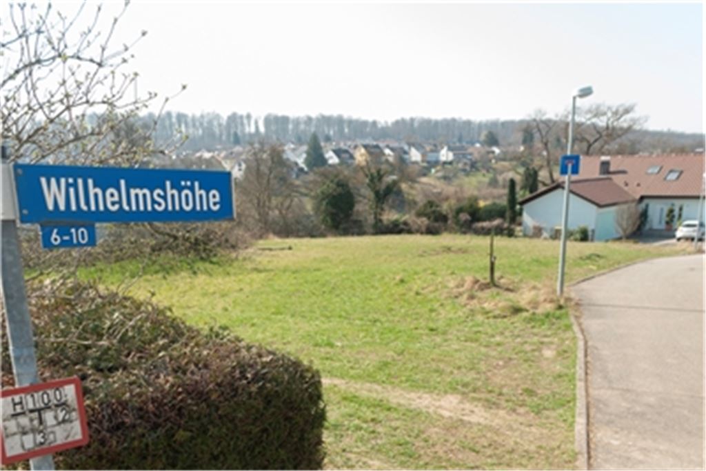 Gemeinderat bremst Wohnbauprojekt aus: Der auf dieser Wiese geplante Bau von zwei zweieinhalbgeschossigen Mehrfamilienhäusern ist vom Tisch. Archivfoto: Fotomoment