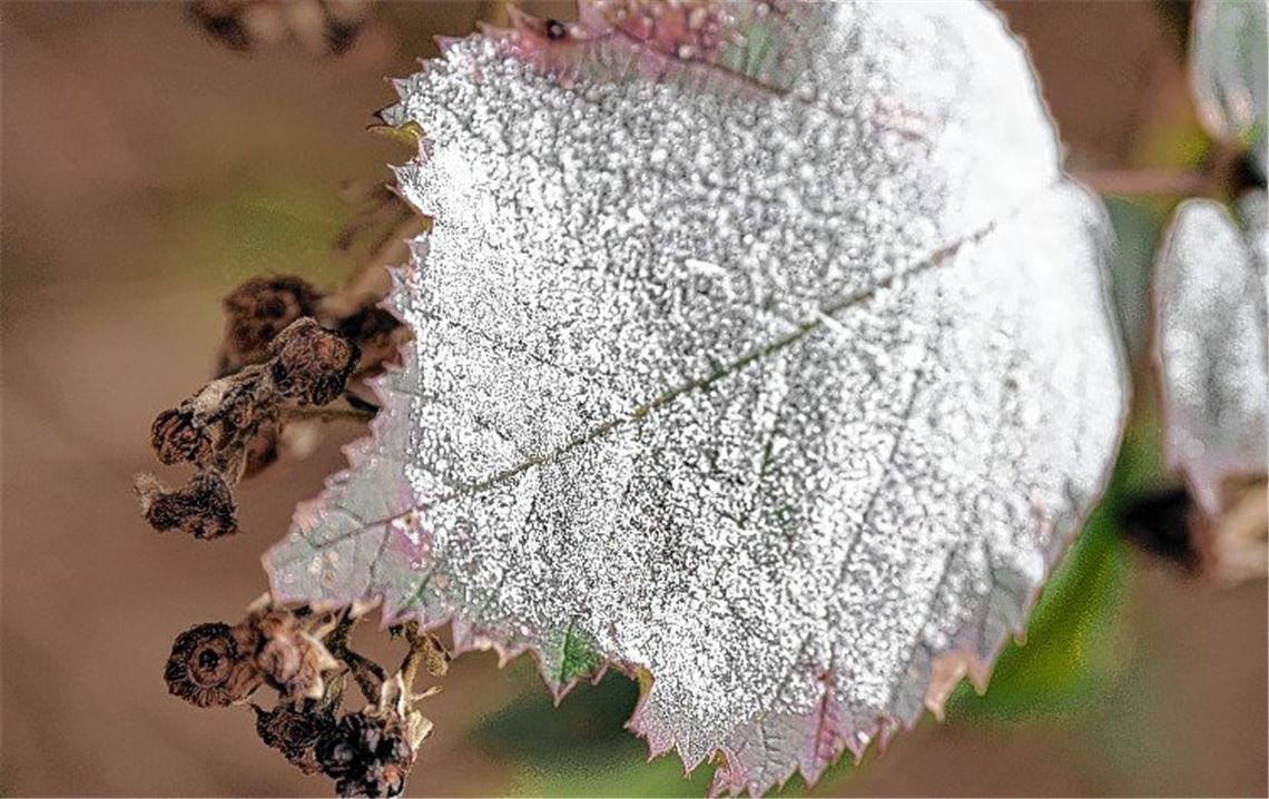 Winterzeit