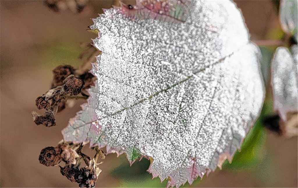 Winterzeit