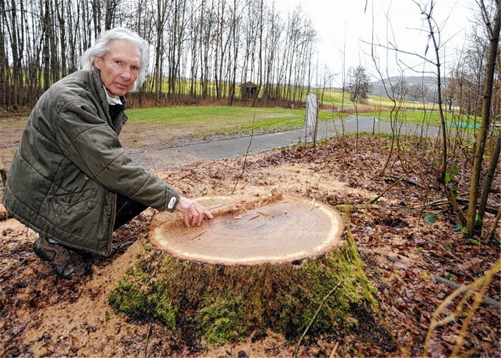 Gerd Döppenschmitt an jenem Ort, an dem bis vor wenigen Tagen die imposante Eiche – die Baumscheibe misst 73 Zentimeter – stand.