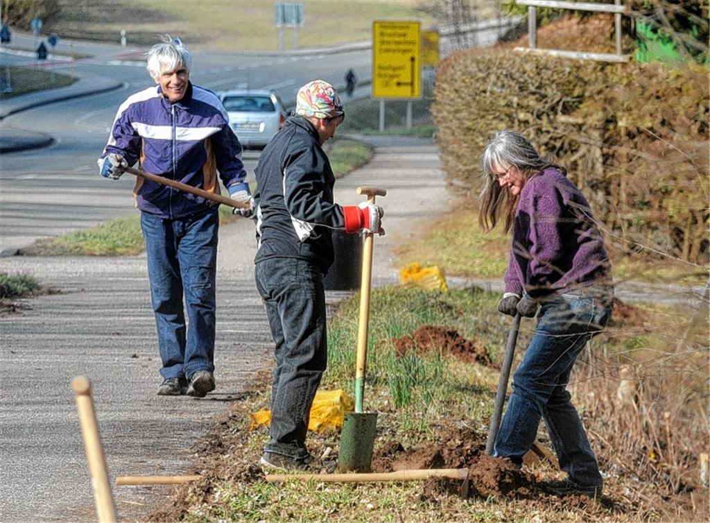 Neue Helfer für Kröten