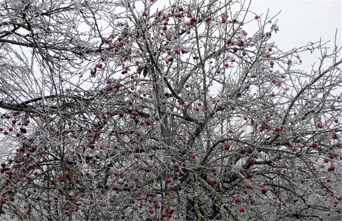 Winterzeit Winterzeit