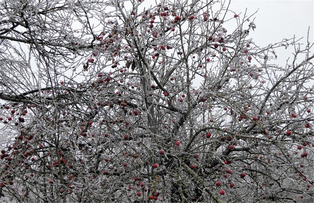 Winterzeit