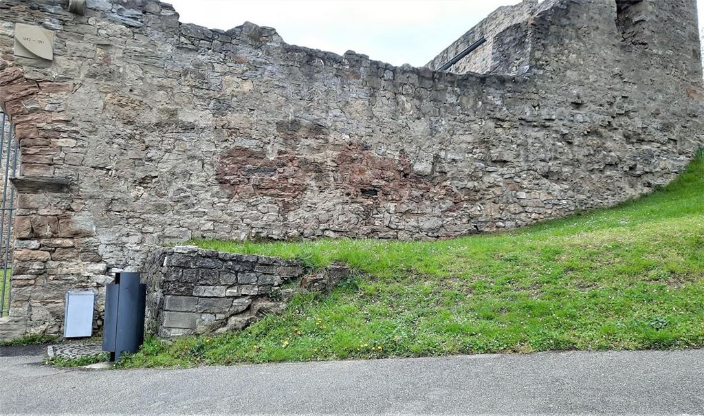 Gereinigte Südmauer der Burgruine Löffelstelz. Foto: privat
