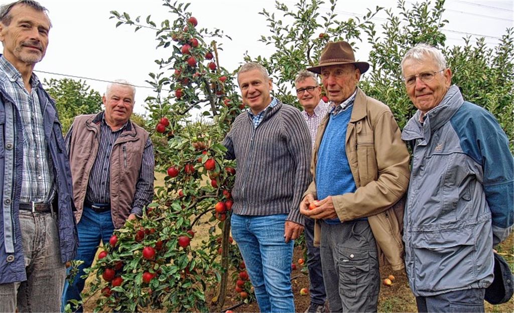 Auch Äpfel bekommen Sonnenbrand