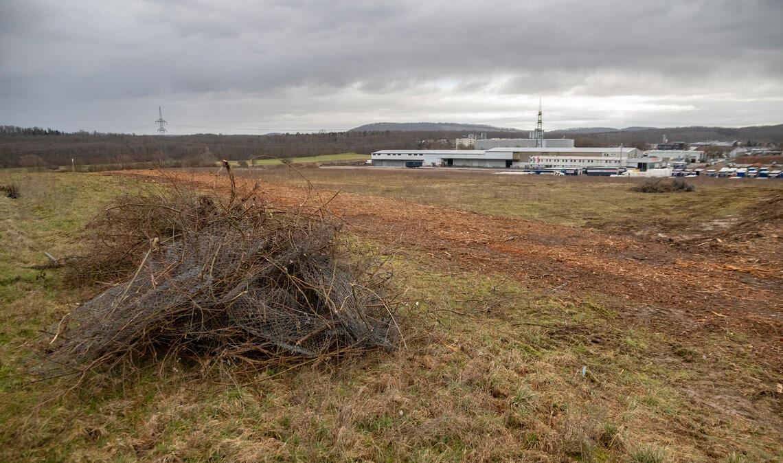 Gerodet: Zur Beseitigung der geschützten Feldhecke auf dem Ziegeleigelände hat das Landratsamt eine Ausnahmegenehmigung erteilt. Foto: Fotomoment