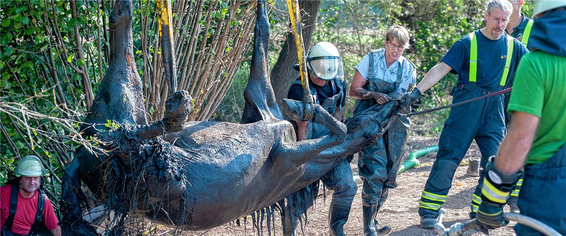 Pferd versinkt hilflos im Matsch Geschafft: Die Feuerwehr hat das Pferd aus seiner misslichen Lage befreit. Nach der Bergung muss es aber noch von einem Tierarzt stabilisiert werden.Fotos: Fotomoment