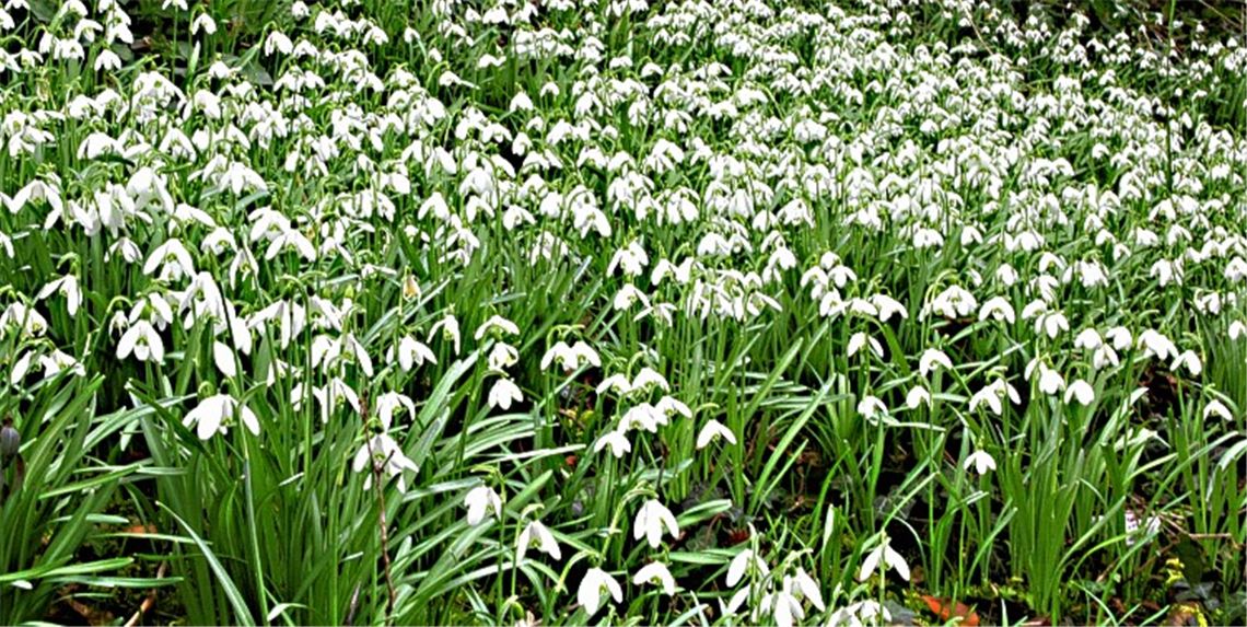 Winterbilder Winterbilder