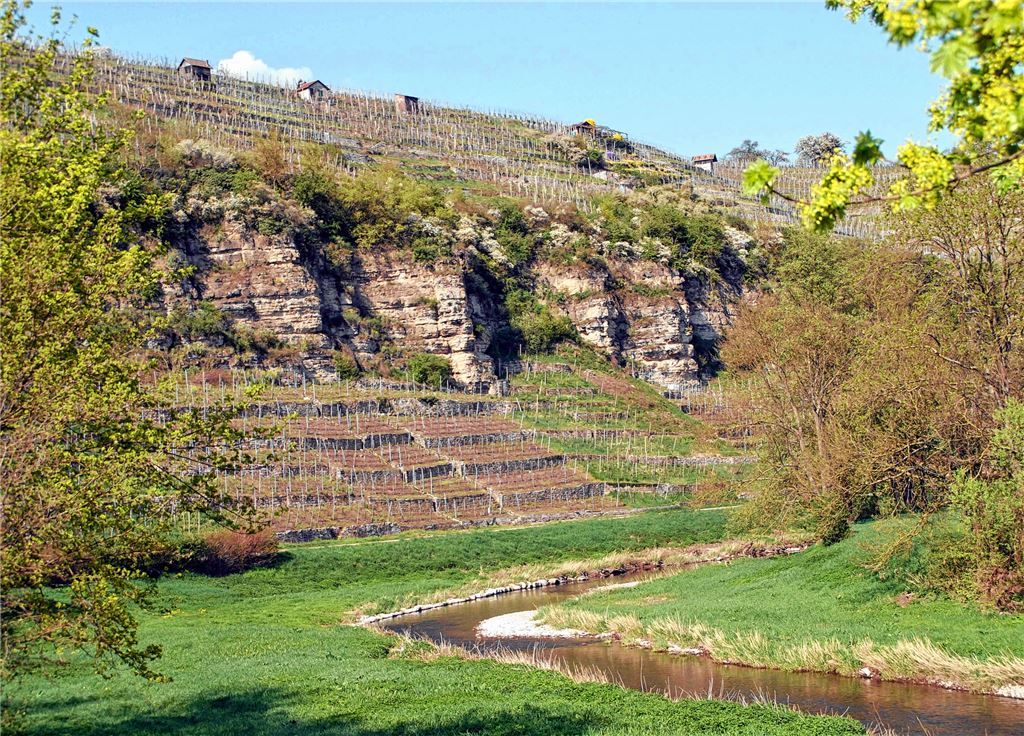 Geschützte Lebensräume für Tiere und Pflanzen: die Felsengärten bei Mühlhausen und das Enztal zwischen Enzberg und Niefern.Lechner