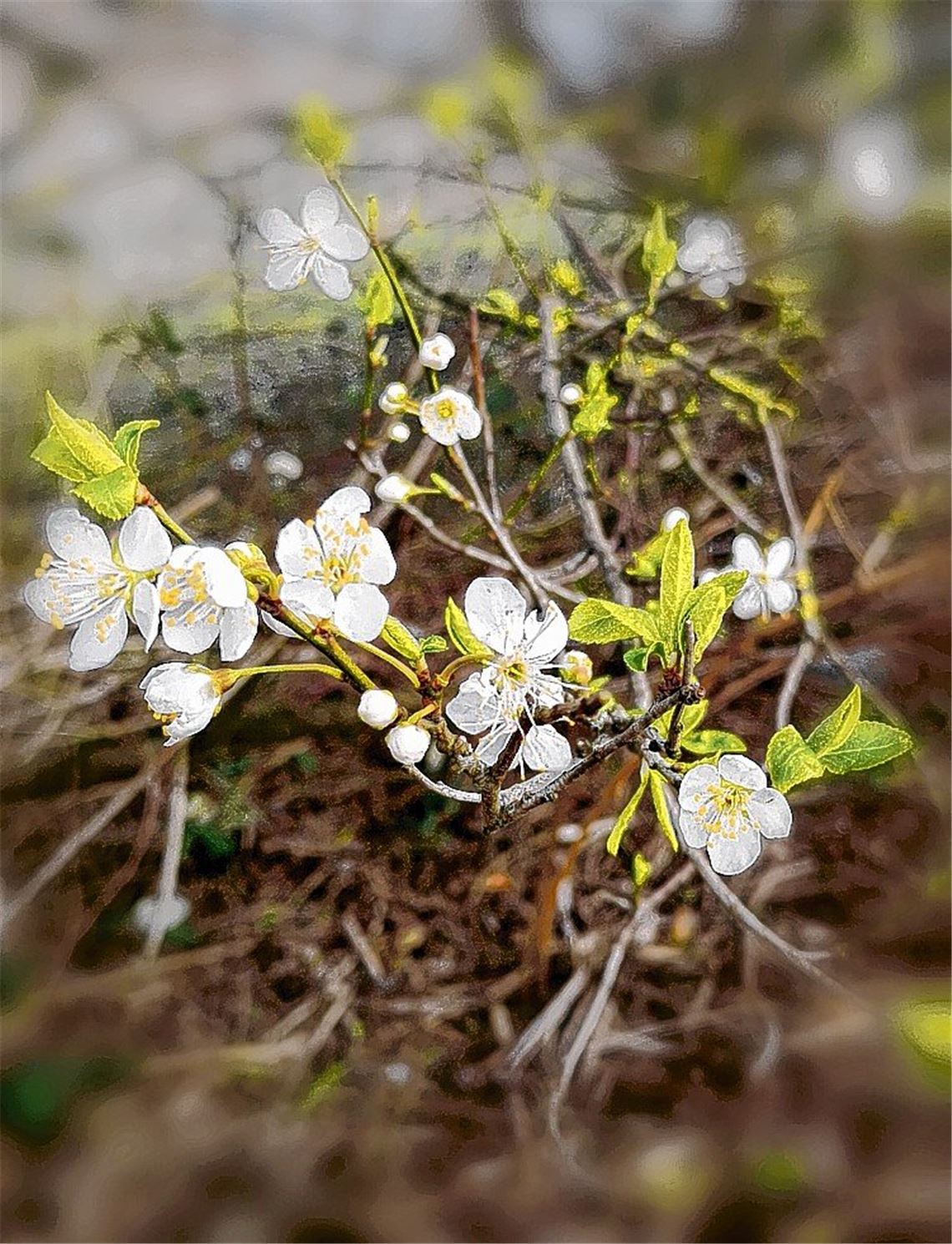 Frühlingsgefühle Frühlingsgefühle