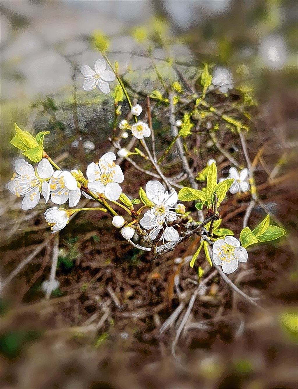 Frühlingsgefühle