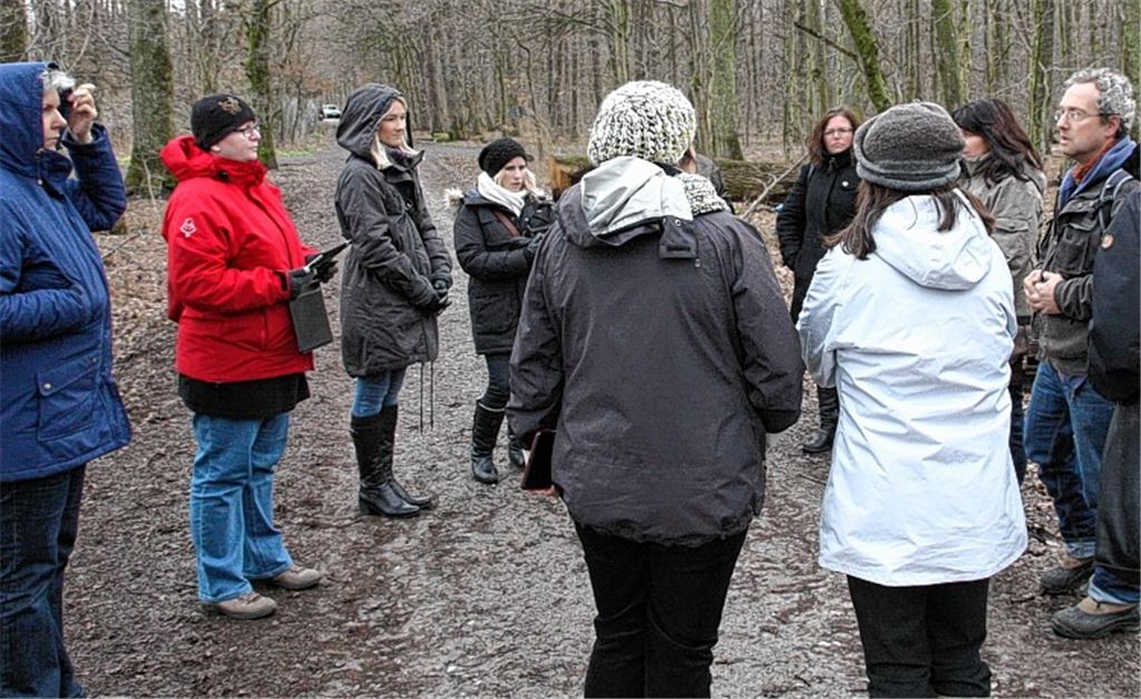 Gespannt verfolgen die Erzieherinnen aus dem europäischen Ausland, was Klemens Köberle über den Waldkindergarten erzählt.