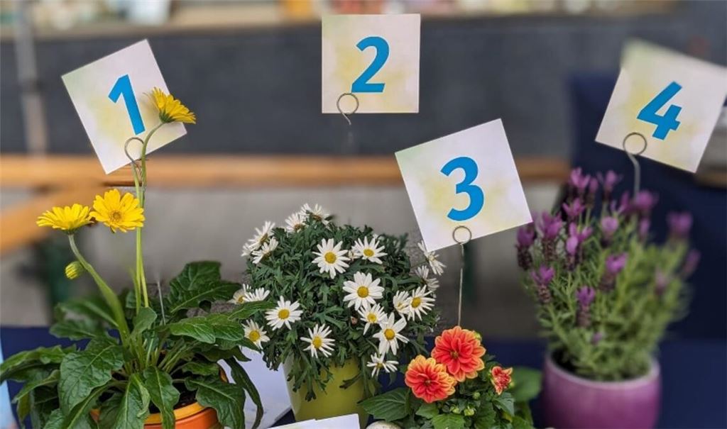 Gewinnspiel zum Frühling. Foto: privat