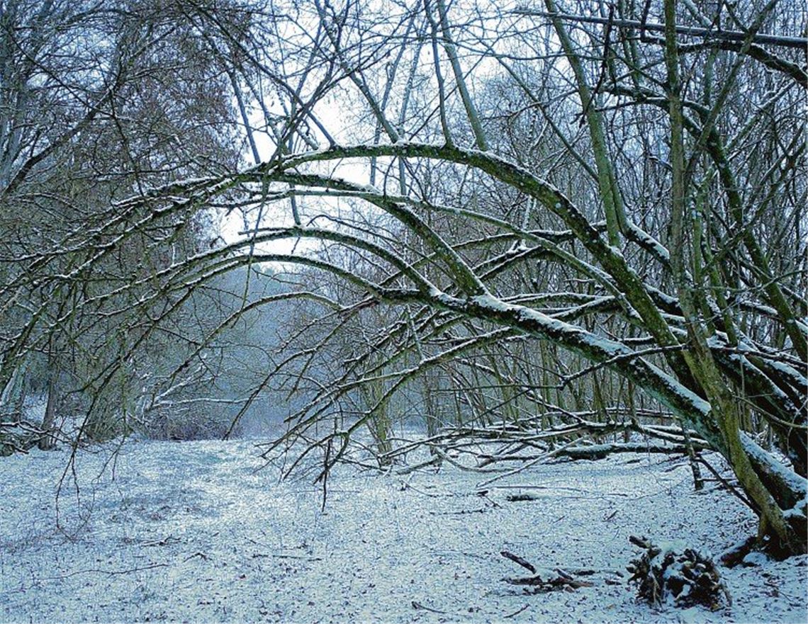 Winterzeit Winterzeit