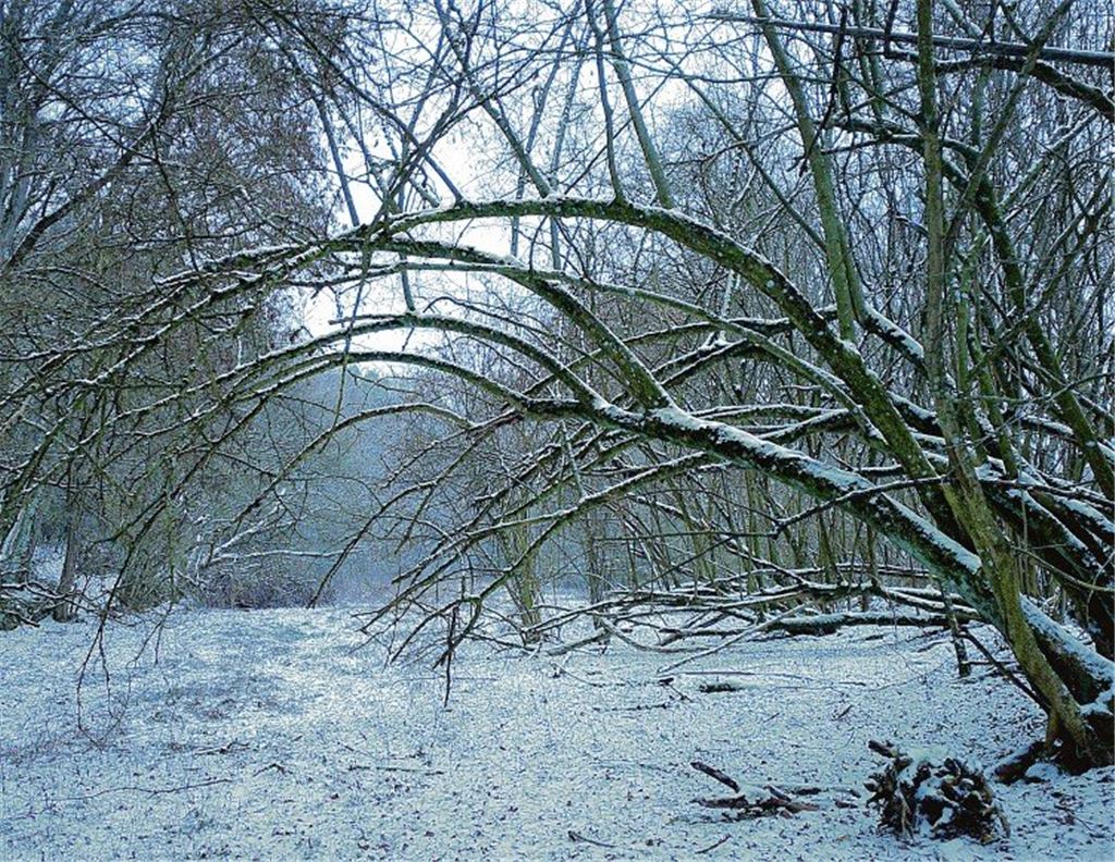Winterzeit
