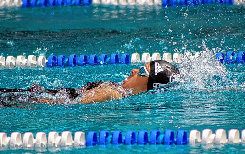 Glänzende Heimbilanz