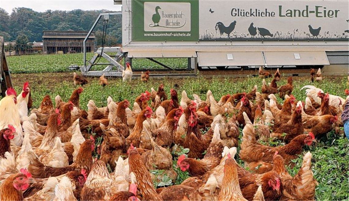 Privilegien für glückliche Hühner