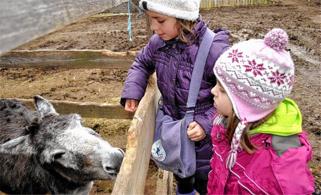 Gnadenhof-Betreiberin Felicia Ruhland mit vierbeinigen Freunden. Rechtes Bild: Für Kinder ist ein Besuch auf dem Hof, wie beim gestrigen Fest, besonders spannend. 