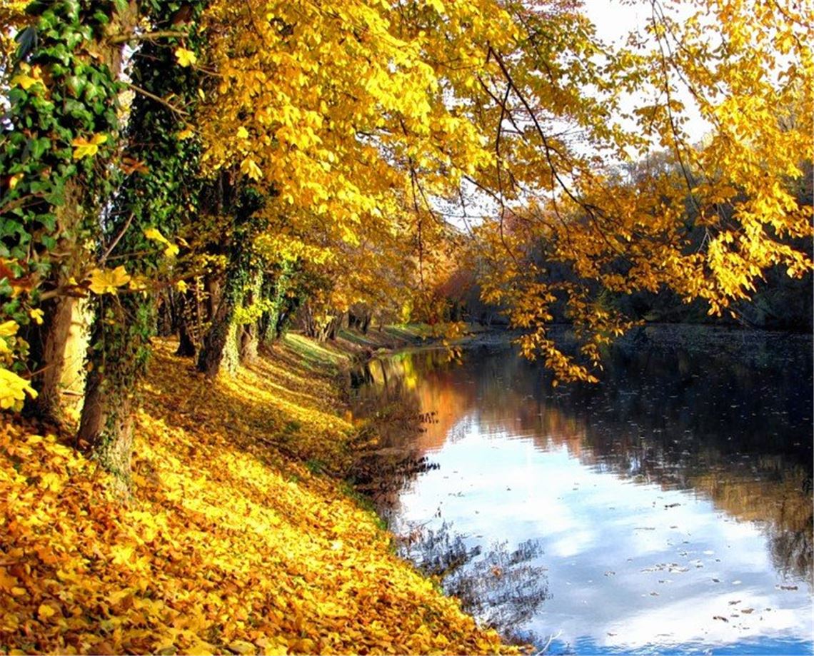 Herbstfarben Herbstfarben