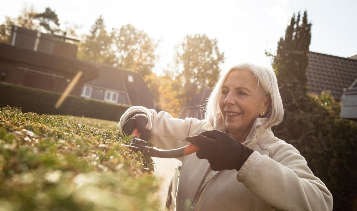 Goldener November im Garten.