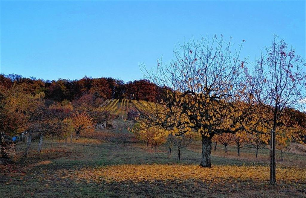 Herbstfarben