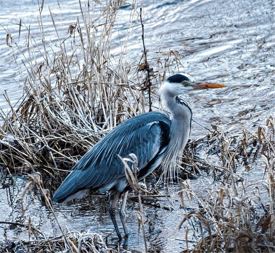 Winterzeit Winterzeit
