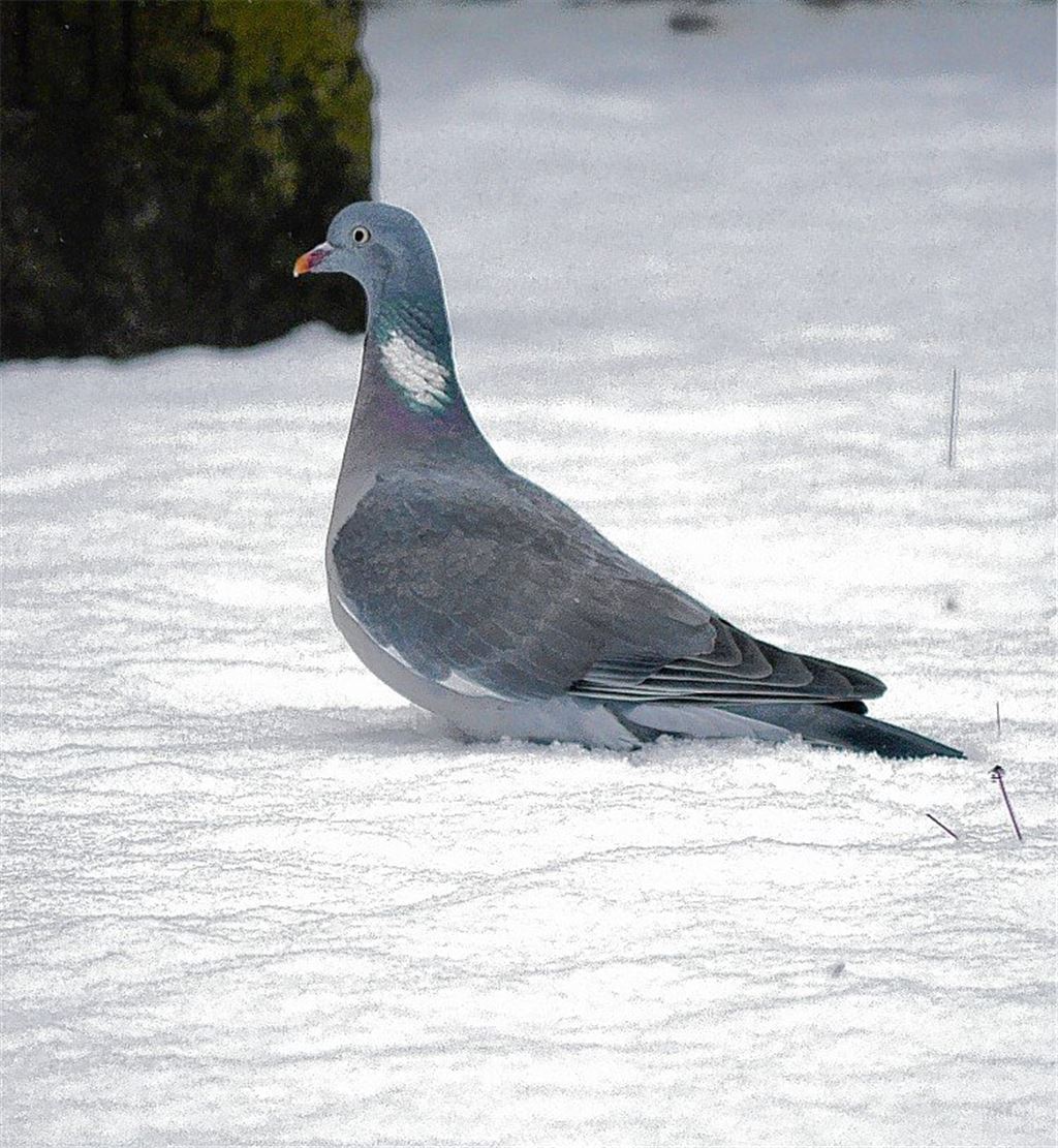 Winterzeit