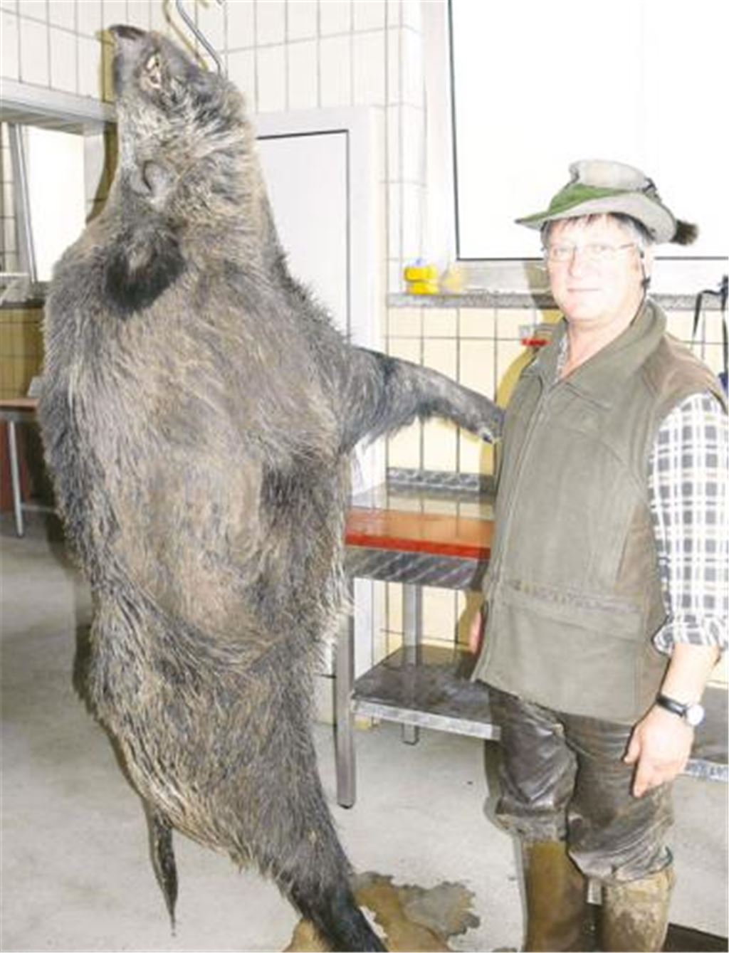 Größenvergleich: Jagdaufseher Horst Maier mit dem rekordverdächtigen Keiler. Foto: Garhöfer 