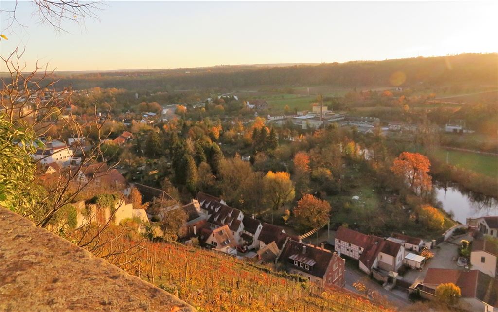 Große Pläne: Das Köpfwiesen-Gelände unterhalb des Kaltensteins soll mit seinen Bürgergärten zum Stadtpark werden. Fotos: Arning