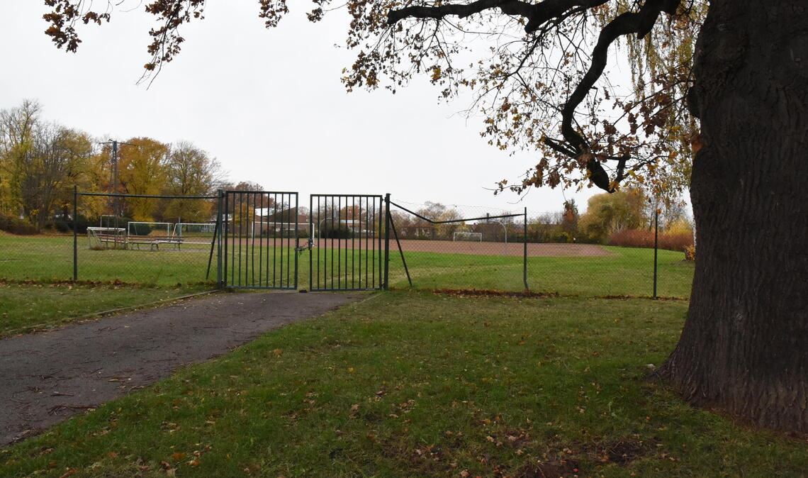 Bildungslandschaft nimmt Gestalt an Große Pläne für die künftige Bildungslandschaft: Auf dem Grundstück des ehemaligen Franzosensportplatzes am Strietweg auf dem Buckenberg soll ein gemeinsamer Schulkomplex der Stadt Pforzheim und des Enzkreises entstehen. Foto: Bott