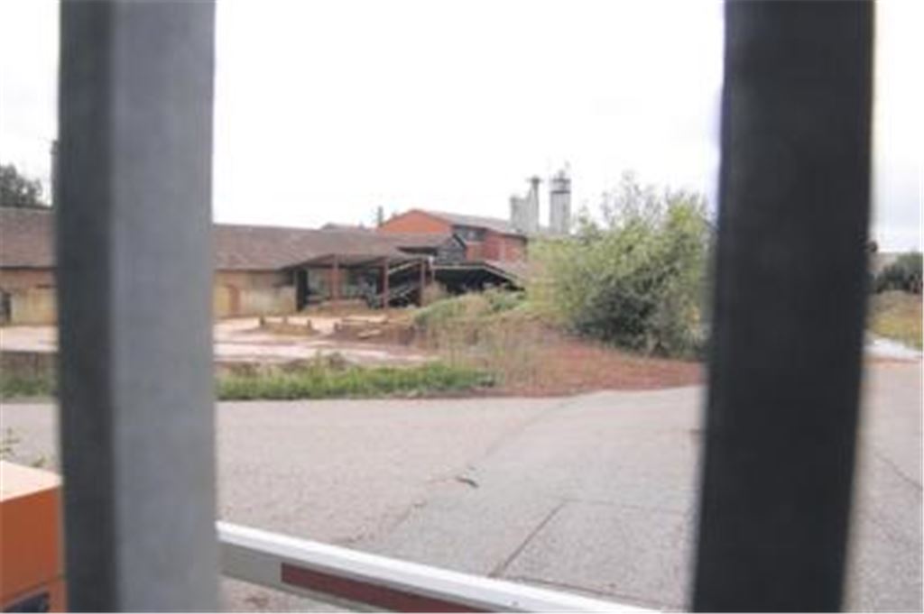 Großes Gelände in günstiger Lage: Die ehemaligen Produktionshallen des Ziegelwerks bieten zusammen mit den freien Flächen neuen Investoren vielfältige Möglichkeiten. Foto: Disselhoff