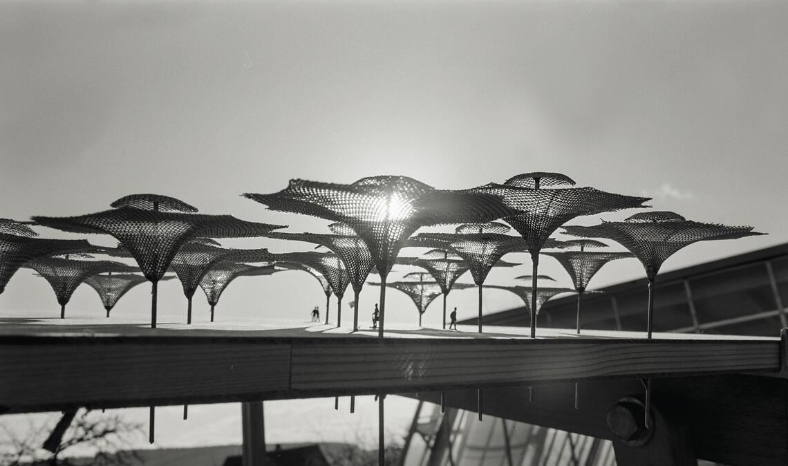 Großschirme auf der Bundesgartenschau in Köln (1971), Modell.