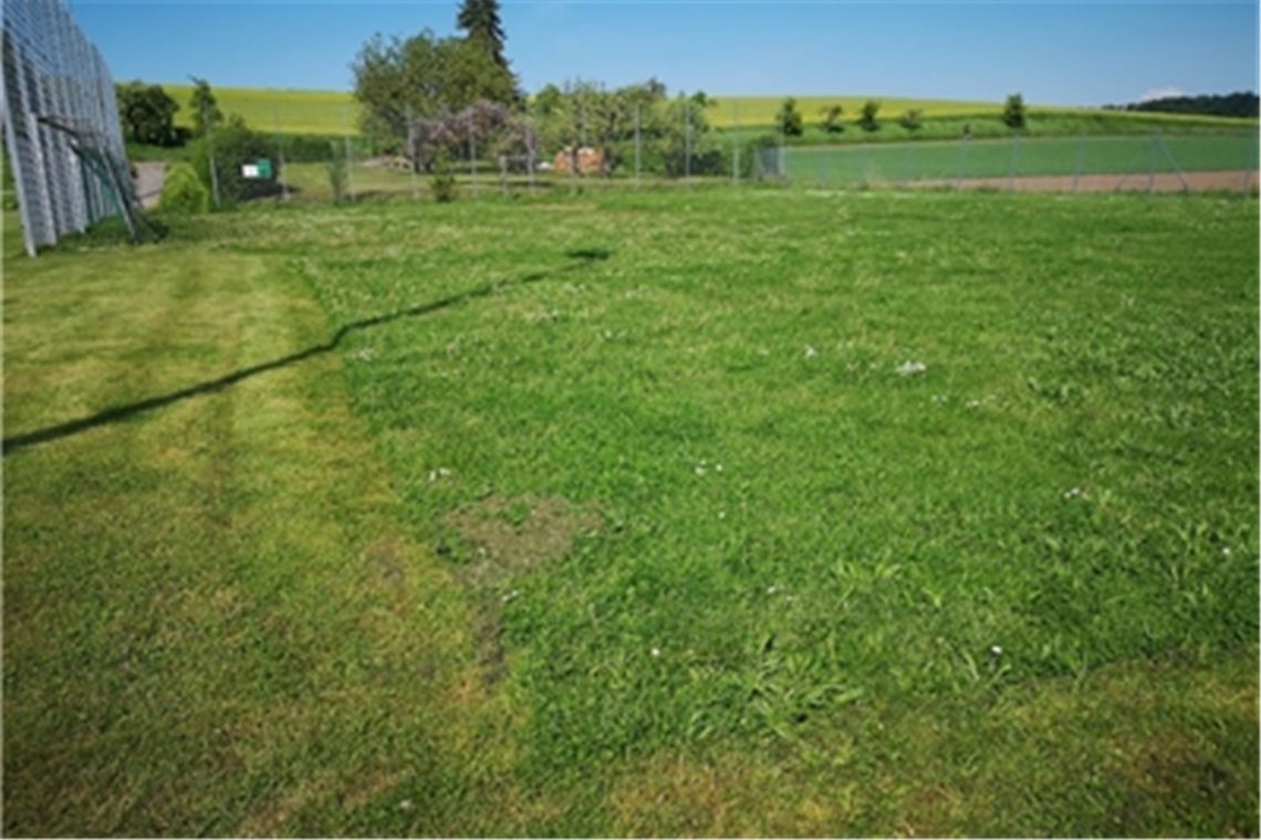 Bauhof beseitigt Schäden an Zaun Großzügig: der Bolzplatz neben dem Ausweichsportplatz am Mühlweg in Verlängerung der Friedrich-Münch-Straße. Foto: privat