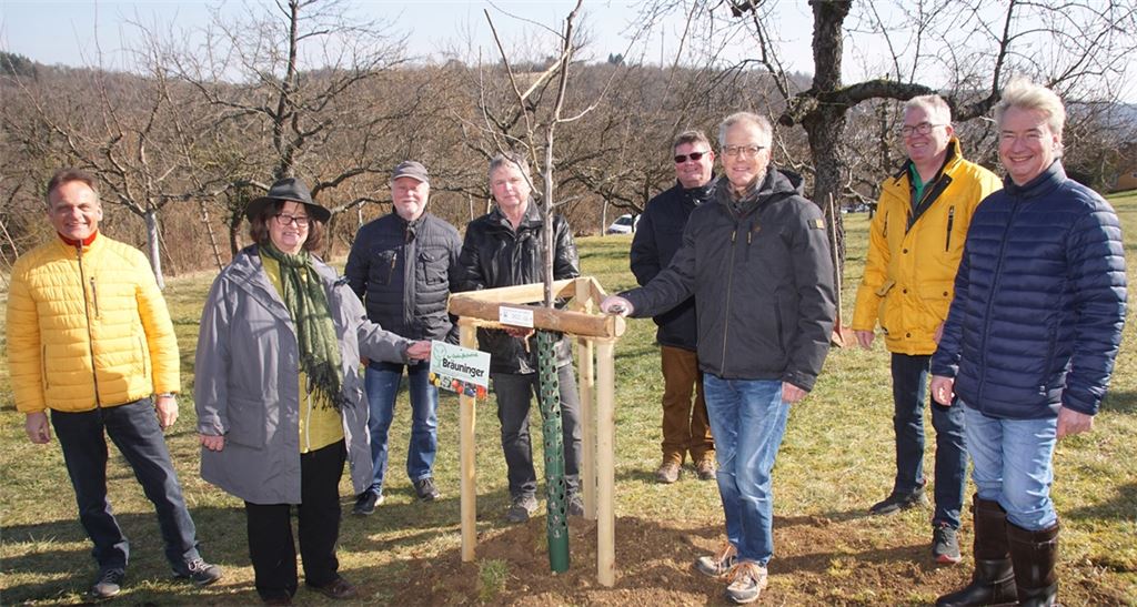 Gruppenbild mit der neu gepflanzten „Ersinger Frühzwetschge“: Kämpfelbachs Bürgermeister Udo Kleiner (v. li.) mit den Vertretern des Landes- und Kreisverbandes und der Obst- und Gartenbauvereine, Sigrid Erhardt, Rolf Heinzelmann, Jürgen Metzger, Roland Gommel, Bernhard Reisch, Stephan Kaufmann und Roland Keller. Foto: Roller