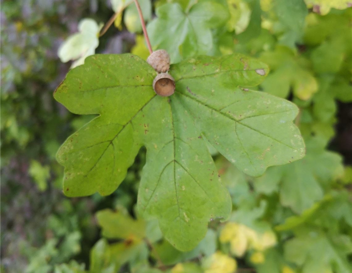 Gruß an alle, die heute Geburtstag haben, von Andrea Lorenz aus Schönenberg.