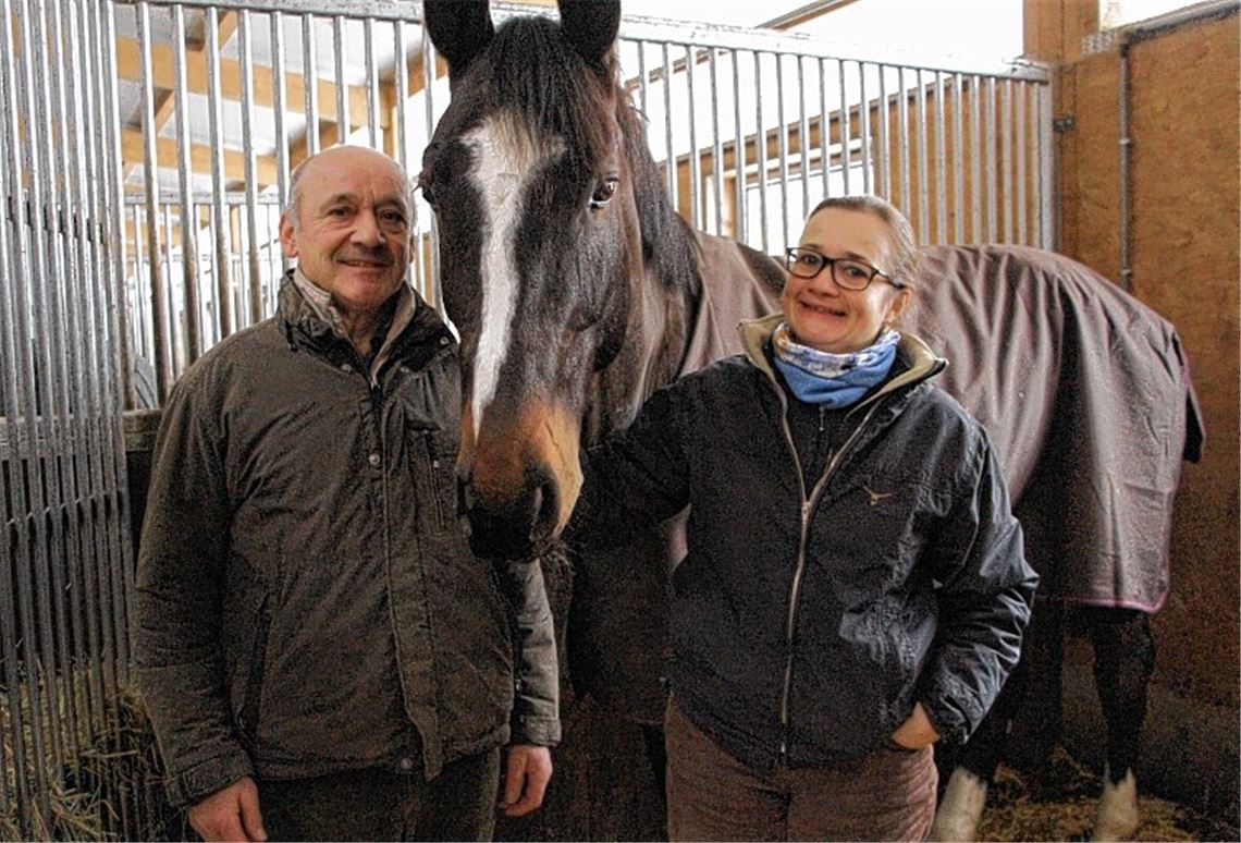 Vom Virus der Reiterei infiziert