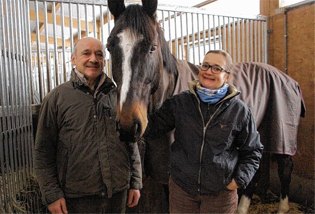 Vom Virus der Reiterei infiziert