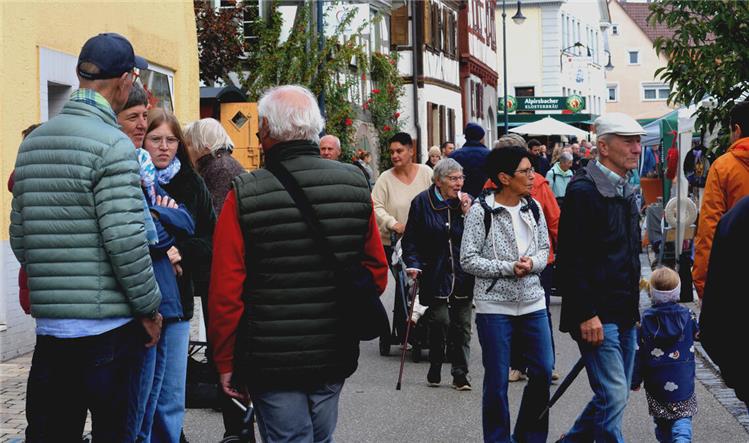 Autumn Market Attracts with Record Offerings