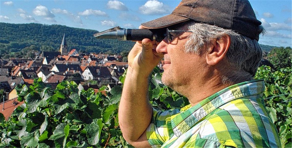 „Grüne Ernte“ verbessert die Qualität „Grüne Ernte“ verbessert die Qualität