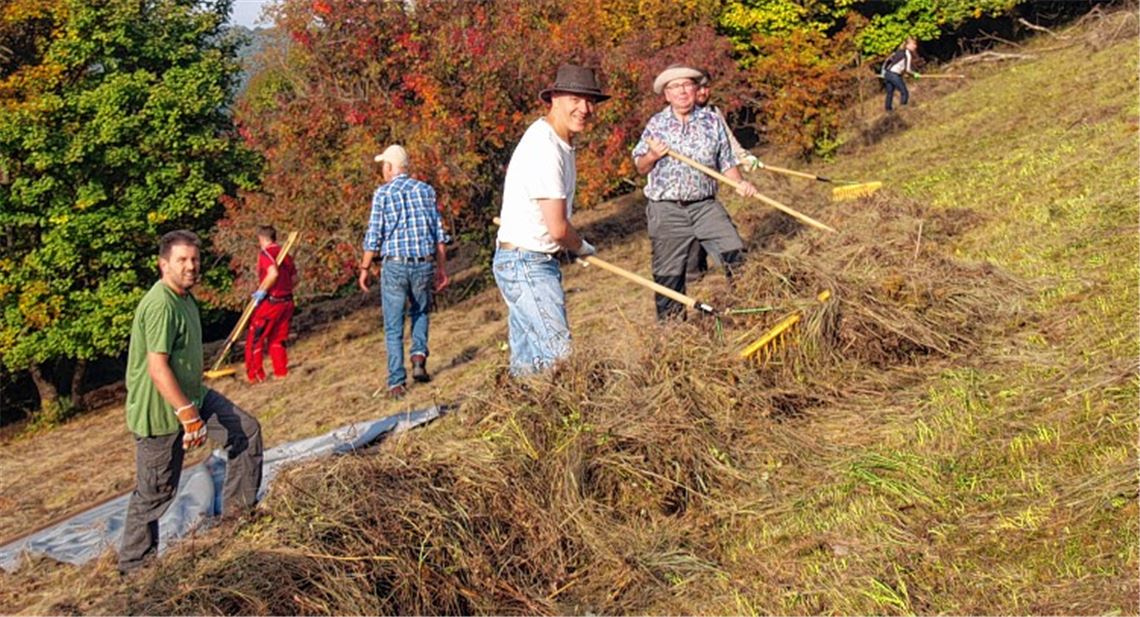 Einsatz an steilen Hangwiesen