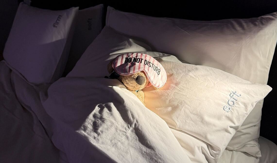 Gute Nacht, Jack: Die Belegschaft hat das süße Kuscheltier mittlerweile "adoptiert".