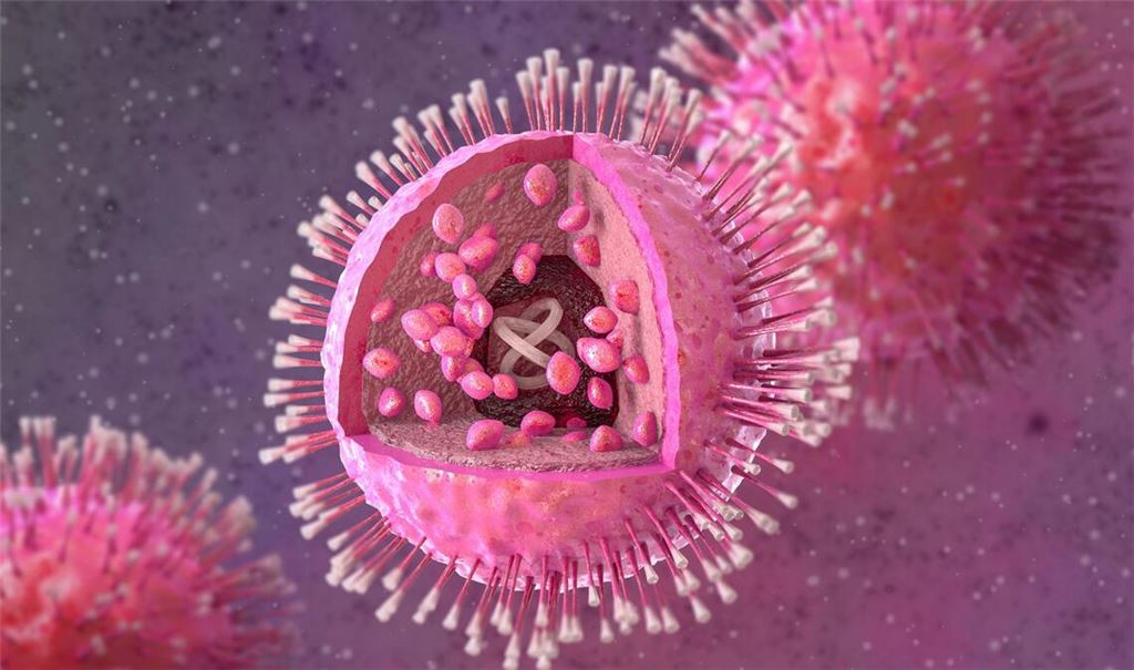 HHV-6A/B (Humane Herpesviren Typ 6A und 6B) sind zwei eng verwandte, weit verbreitete Viren, die meist schon im frühen Kindesalter lebenslang im Körper verbleiben. Während HHV-6B der Hauptverursacher des Dreitagefiebers (Roseola infantum) ist, wird HHV-6A oft mit neurologischen Problemen, Immunschwäche-bedingten Krankheiten und Fruchtbarkeitsproblemen in Verbindung gebracht.