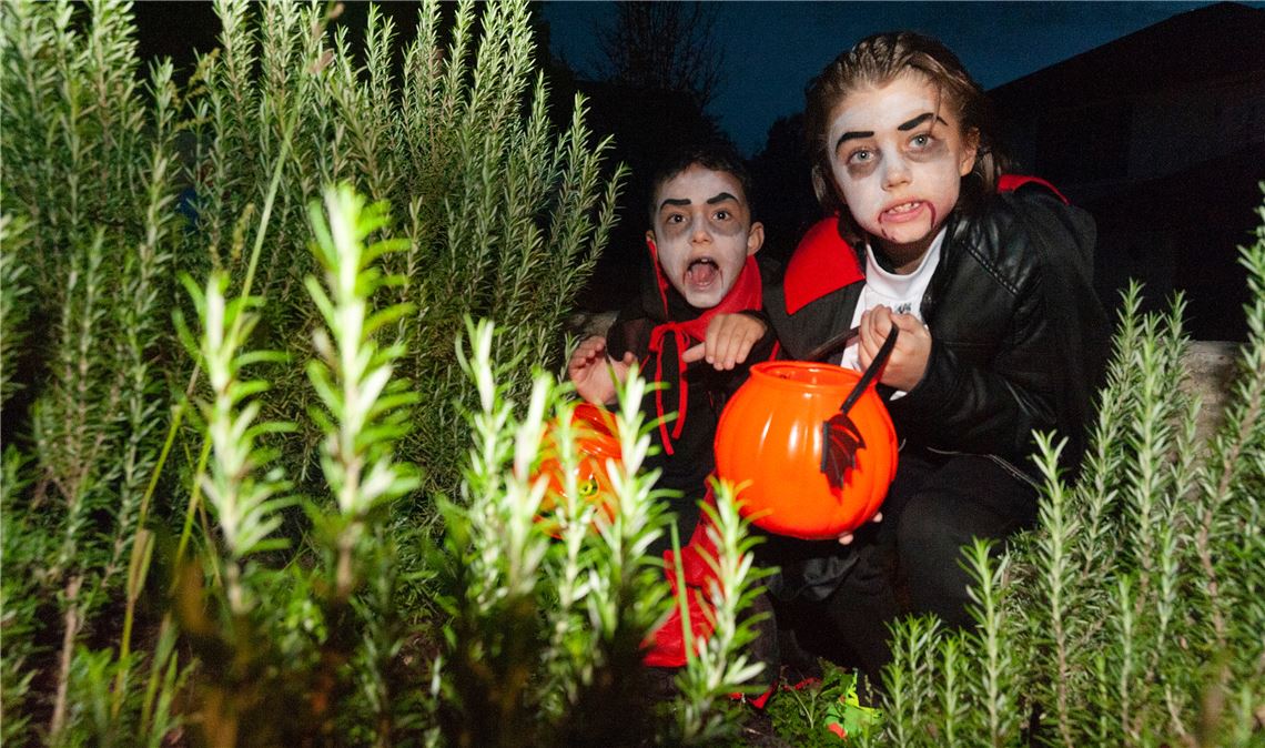 Haben ihren Spaß an Halloween: Emil und Gabriele machten unter dem Motto „Süßes oder Saures“ Mühlacker unsicher. Foto Fotomoment