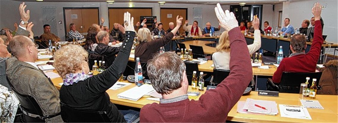 Hände hoch! Der Gemeinderat bei der Abstimmung über den ersten Schritt eines Wettbewerbs zur Neubebauung des Bereiches rund um den Mühlehof samt einer Stadt- und Kulturhalle. 