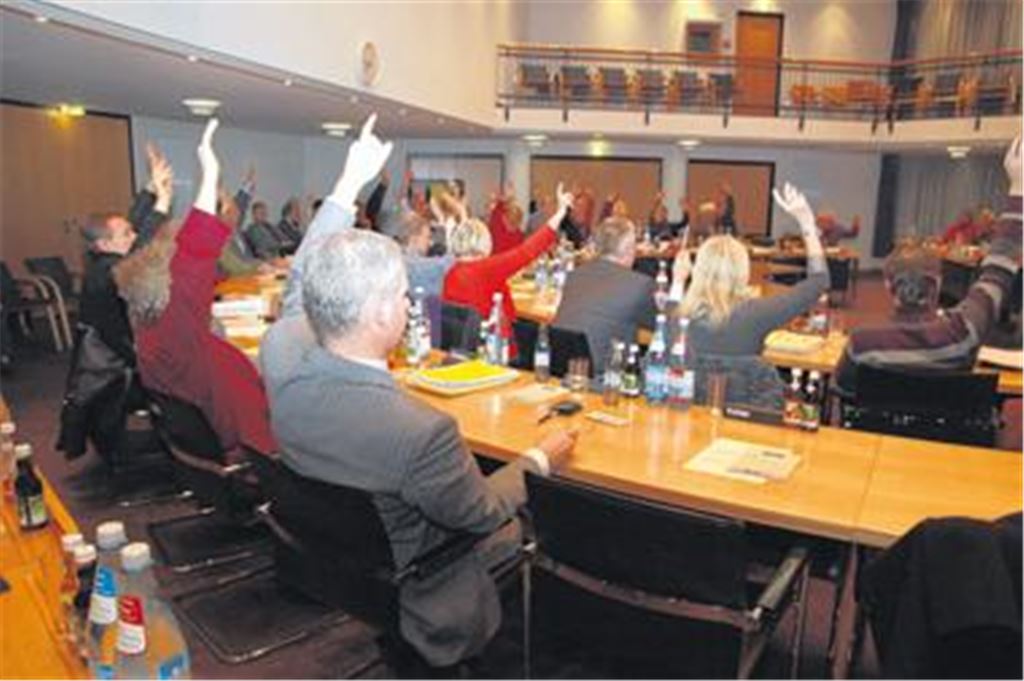 Hände hoch: Der Mühlacker Gemeinderat verabschiedet seinen Haushalt für das Jahr 2011. Foto: Sadler