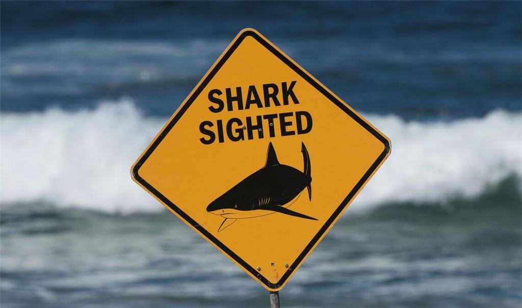 Haiangriffe haben sich an Australiens Ostküste zuletzt gehäuft. (Archivbild)