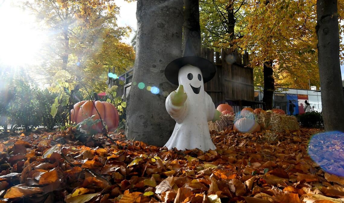 Bilder des Tages Halloween-Atmosphäre in München: Bavaria Filmstadt verwandelt sich zur Spooky Tour