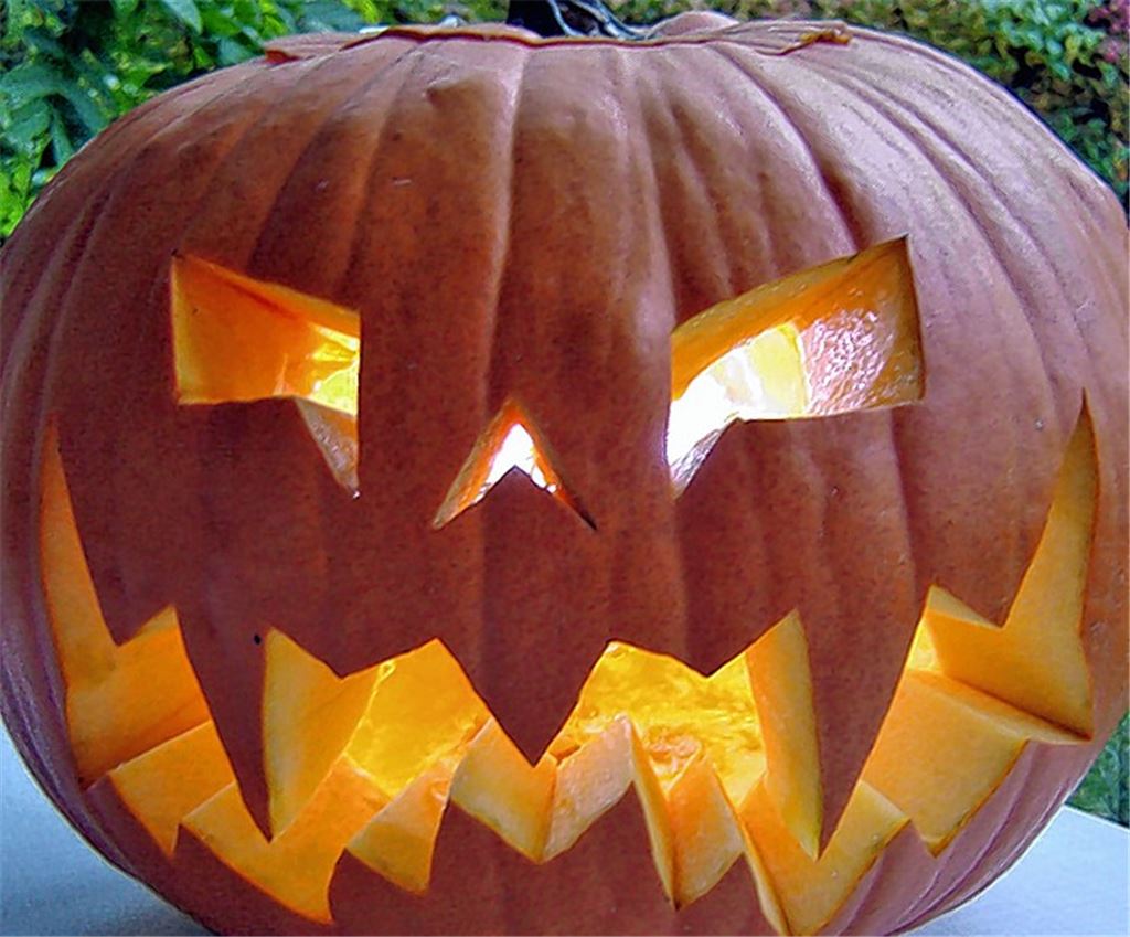 Halloween – Zeit für Grusel-Fans. Foto: privat