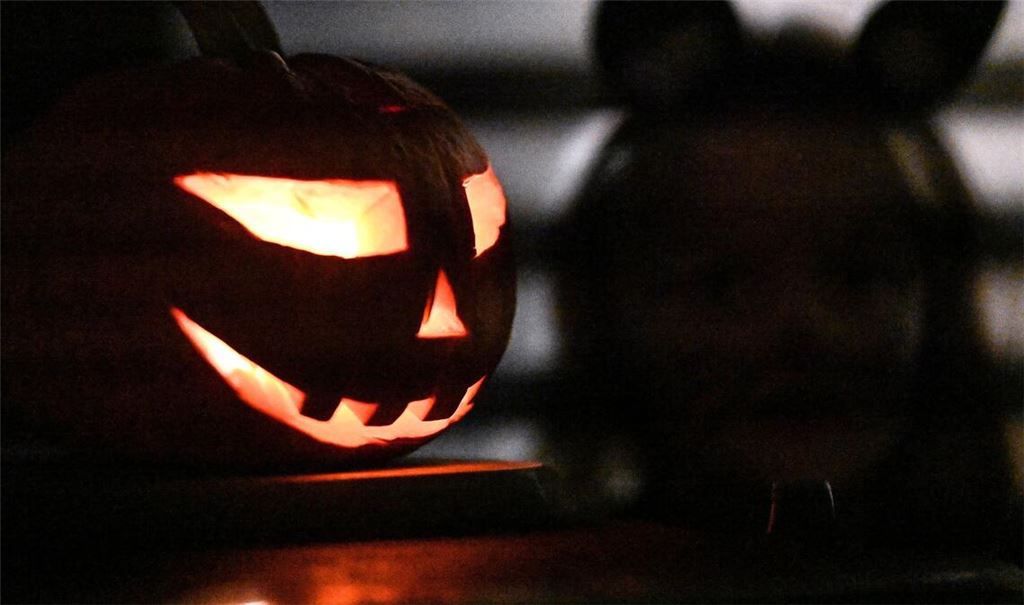 Halloween wird auch in Deutschland gefeiert.
