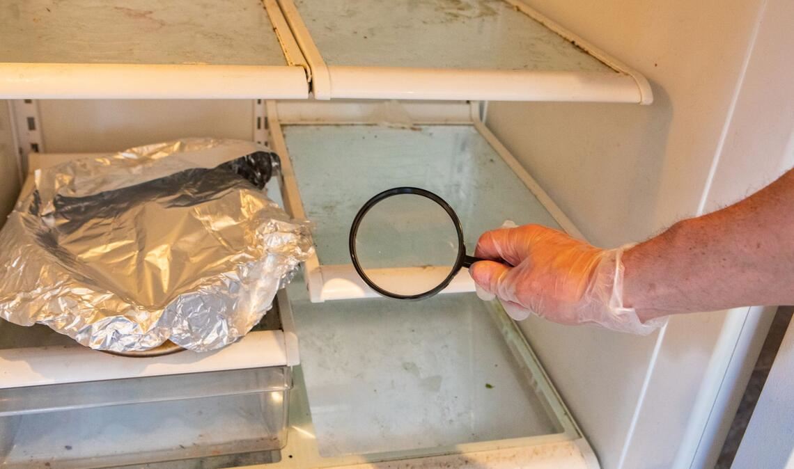 Hand aufs Herz: Wann haben Sie zum letzten Mal Ihren Kühlschrank geputzt? Wenn er so aussehen sollte, wie auf dem Bild, haben Ihre Lebensmittel ein echtes Problem.